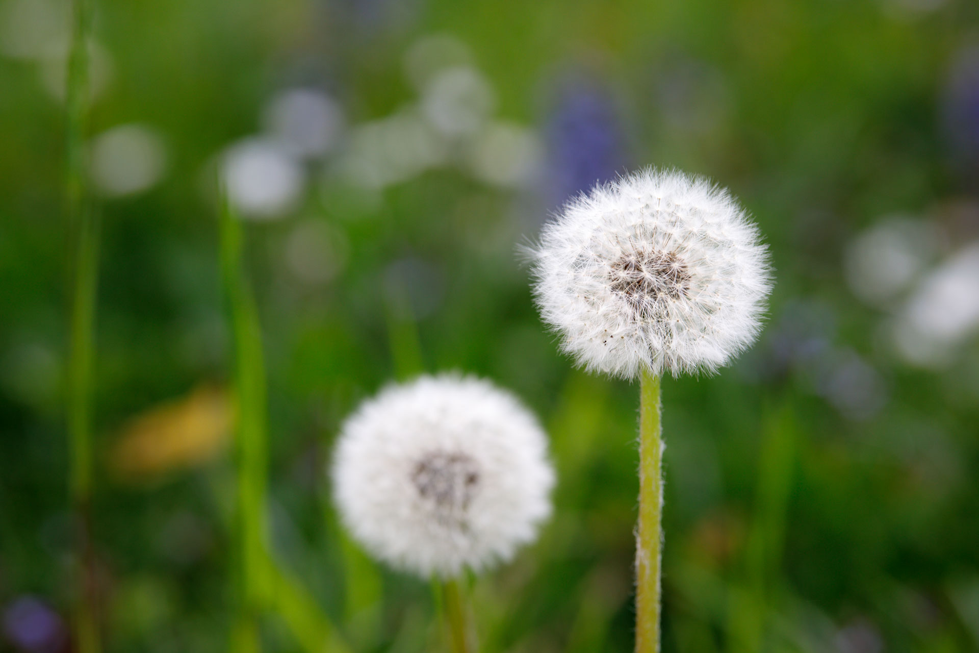 Die Liebe in den Zeiten von Corona